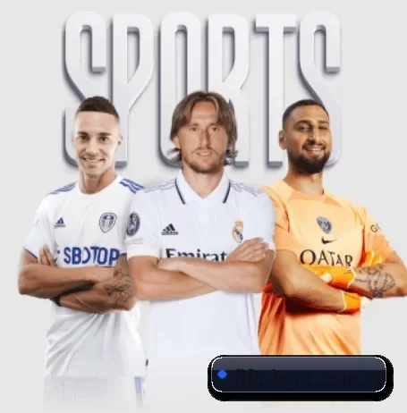 fifa-leyu.com.cn APP 界面